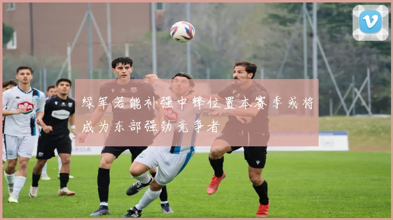 绿军若能补强中锋位置本赛季或将成为东部强劲竞争者