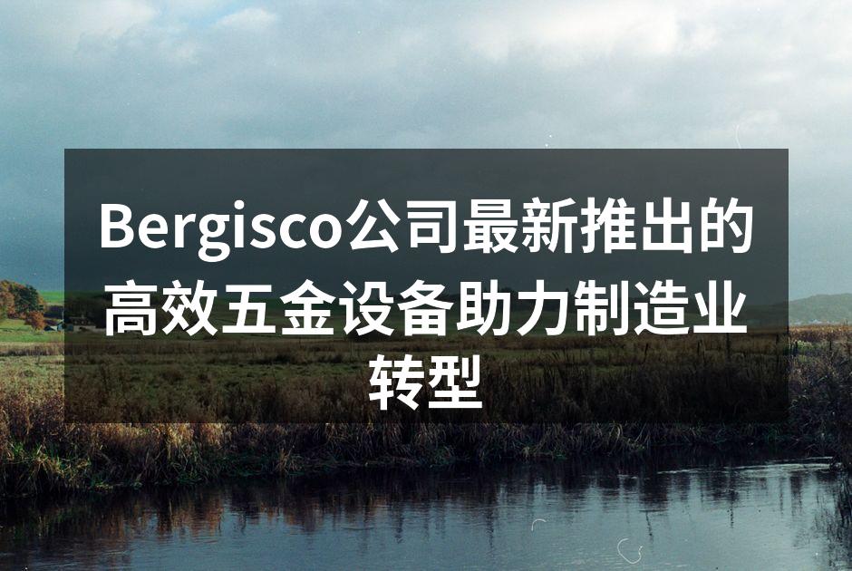 Bergisco新型高效五金设备