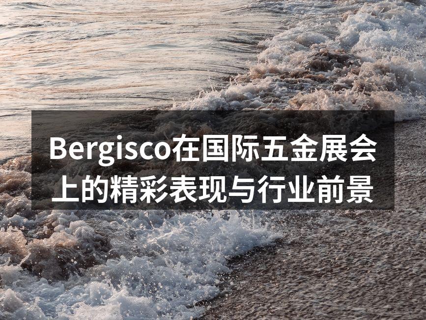 Bergisco展位吸引众多观众